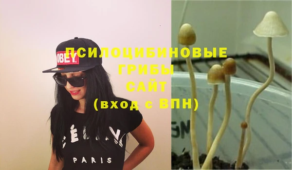 не бодяженный Краснослободск