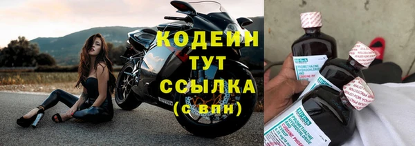 мяу мяу мука Дмитриев