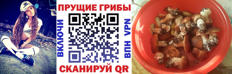 Псилоцибиновые грибы Psilocybine cubensis  mega зеркало  Пыть-Ях  цена  
